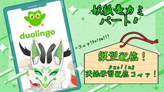 【Duolingo】1から始める英語学習配信コャァ！#8【妖狐竜カミ】
