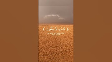 تلاوة خاشعة من سورة مريم للقارئ احمد سعيد العمراني مع صوت المطر | #quran #اكسبلور #واحة_القرآن #لايك
