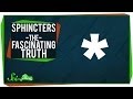 Sphincters - The Fascinating Truth