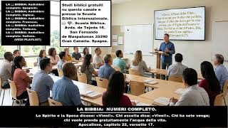 Settimana 4. Corsi completamente gratuiti 🧡. LA 📖 BIBBIA: NUMERI. (VEDI LISTE). screenshot 4