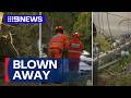 Wild winds whip through Adelaide | 9 News Australia