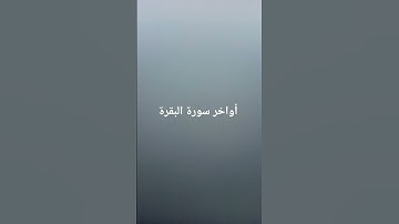 أواخر سورة البقرة #القرآن_الكريم #سورة_البقرة #ارحقلبك #راحة_نفسية