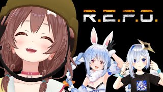 戌神ころねの配信のサムネイル画像