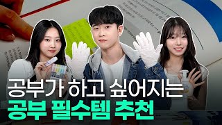 (광고X) 뼈 빠지게 공부한 서울대생들의 공부 꿀템 모음ㅣ 스튜디오 샤