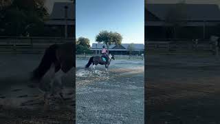 Sabrina Love That Mare