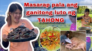 Nagluto ako ng Tahong sa Bukid | Nanganak na ang Alaga kong Baboy | Ka Mangyan Vlog