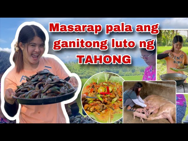 Nagluto ako ng Tahong sa Bukid | Nanganak na ang Alaga kong Baboy | Ka Mangyan Vlog class=