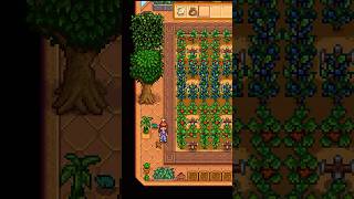 SDV Fruit Tree Guide Part 3: Planting Trees in the Greenhouse