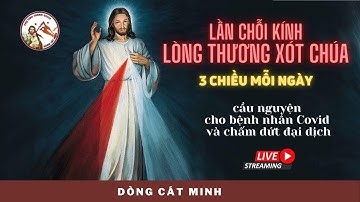🛑 Trực Tiếp: Giờ Kinh Lòng Thương Xót 3h Chiều
