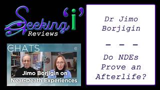 Review: Jimo Borjigin and the Meaning of NDE Brain Activity