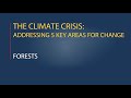 The Climate Crisis: Addressing 5 Key Areas for Change: Part 1 - Forests