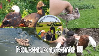 Nouveaux Arrivants De Chez Le Frérot