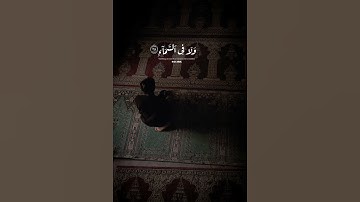 القارئ : الشيخ احمد النفيس / سورة ابراهيم