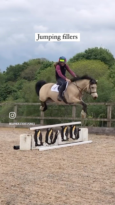 Things my pony is good at…￼