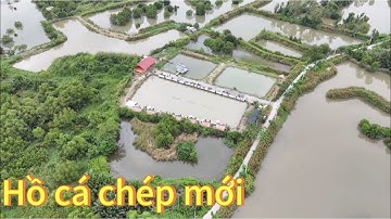 ✅ Review hồ câu cá chép mới ở Bình Chánh, Sài Gòn | DUY FISHING