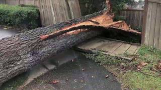 Seattle windstorm 2019!