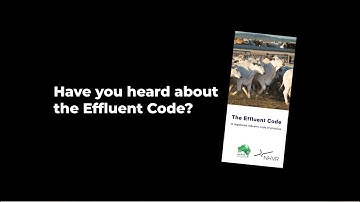 The Effluent Code