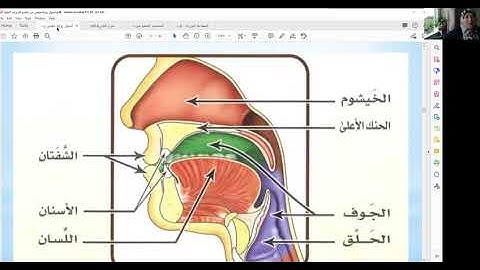 التجويد المبسط للمبتدئين حلقه٧ القاب الحروف