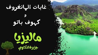 اجمل المناطق السياحية في ماليزيا | لنكاوي | غابات المانغروف وكهوف باتو