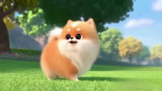 Mochis First Walk A Fluffy Park Adventure