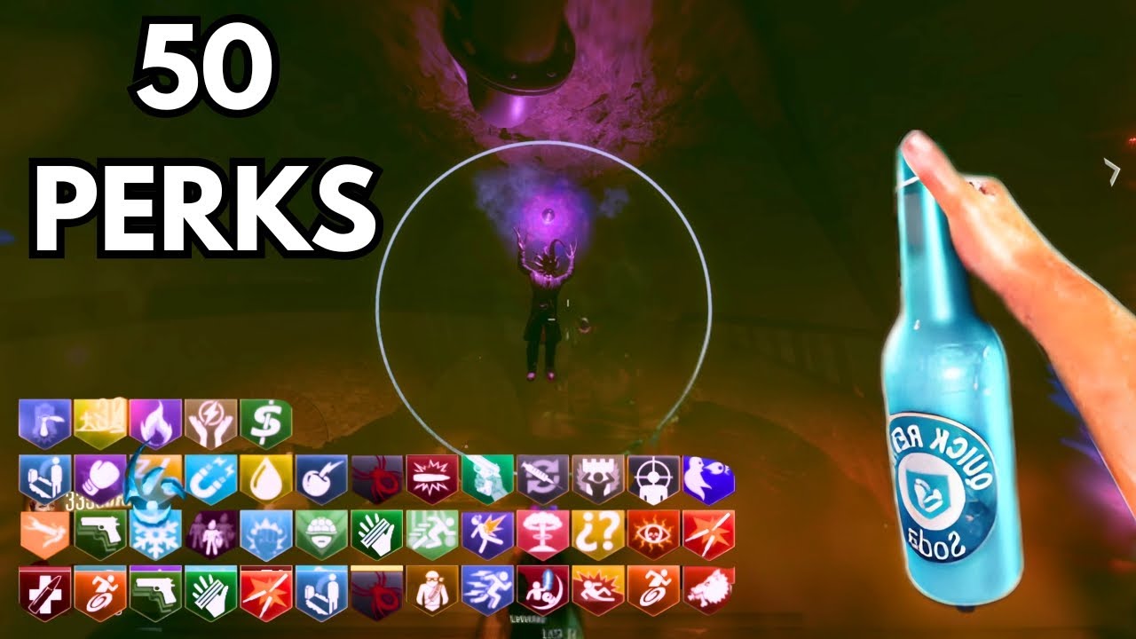 SHADOWS OF EVIL… 50 PERKS