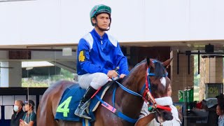 CHAN BOON ARK wins! 18/02/2024 - Race 9 - Division 2 screenshot 5