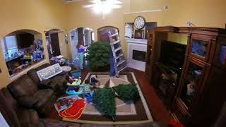 Setting up our 12 foot Christmas tree in fast motion.