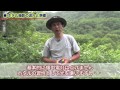 デジタル一眼レフ上達セミナーDVD 「ホタルを撮る」
