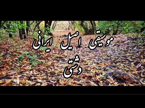 دوئت ویلن و سنتور در مایه دشتی همایون اعظمی علیرضا فلسفی