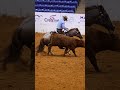 Expect the unexpected to happen during fence work 😆
