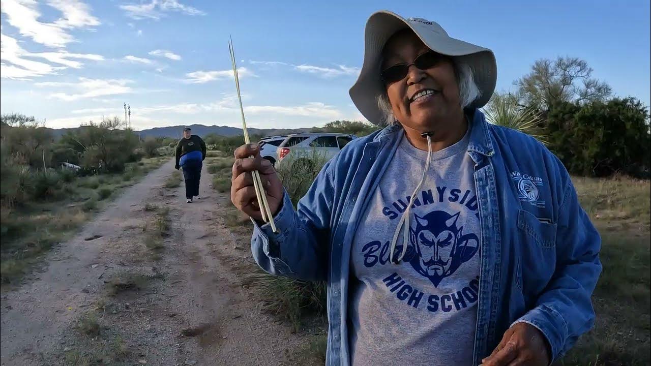 Cleaning Takwi, Yucca Cores, Traditional Basket Weaving, Tohono O'odham