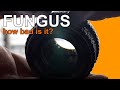 Same camera. same lens. tons of fungus.