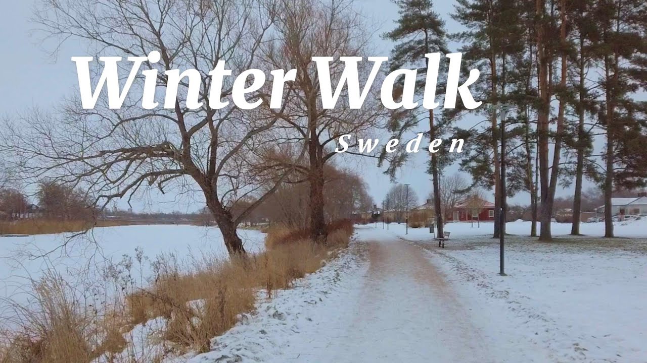 Quiet Walk in wintertime  🤍❄️☃️ #sweden  | 静かな冬の散歩