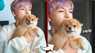 How BTS Treats Animals (Cute Moments)