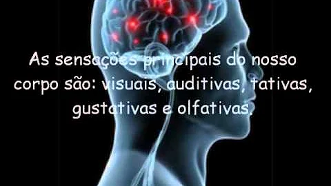 Como os empiristas e os intelectuais explicam a sensação?