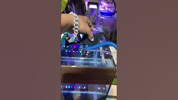 How to Use power head filter in aquarium 🌺💐🙏