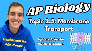 2.5 Membrane Transport - AP Biology (Updated 2025-2026)