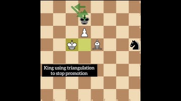 Chess101: Chess endgame pawn & Bishop vs Knight
