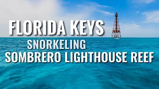 Snorkeling FLORIDA KEYS Sombrero Reef [4K]