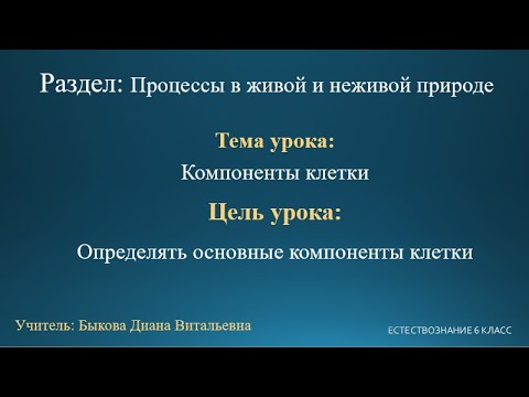 Естествознание 6 класс. Тема урока: Компоненты клетки