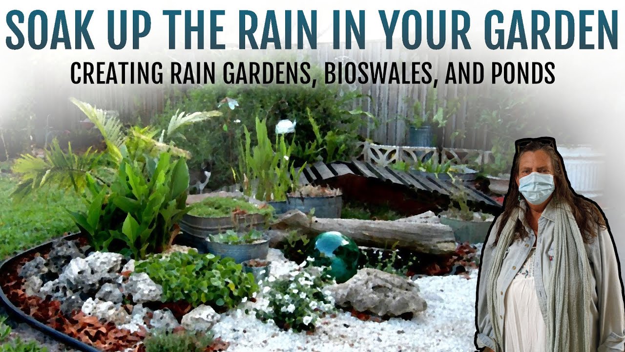 Creating Rain Gardens, Bioswales and Ponds: Soak up the Rain in your Garden