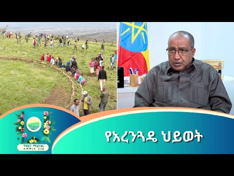 ቪዲዮ: የአረንጓዴ ግሎብ አርቲኮከስ እያደገ - እንዴት አረንጓዴ ግሎብ አርቲኮክ ተክሎችን መትከል እንደሚቻል