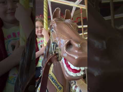 ￼ merry-go-round fun