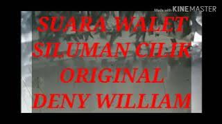 SUARA WALET. SILUMAN CILIK. ORIGINAL DENY WILLIAM. link di Deskripsi