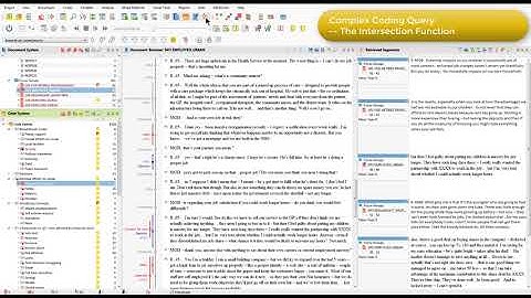 MAXQDA Coded Segments - Part 2 | Qualitative Data Analysis Services