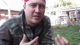 Как приучить собаку к клетке 3 (реальное приучение. видео без обработки) Как приучить собаку к клетке 3 (реальное приучение. видео без обработки)