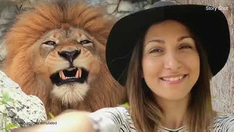 Lg V40 Official Introduction HD