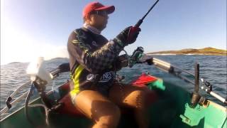 Ilha do Gavião - Gaeta Fishing