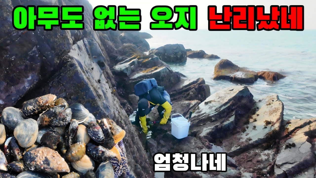 모두 떠나간 조용한 해변에 가보니 부자됐습니다