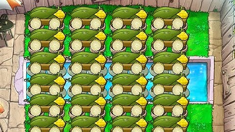 Pure 24 Cob | Survival Endless